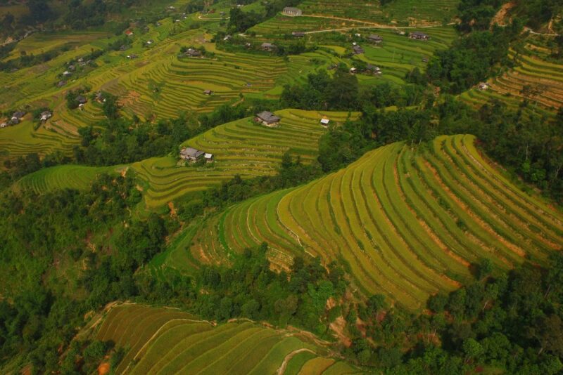 Vietnã de norte a sul: roteiro de duas semanas entre Hanói, Ha Long e o Delta do Mekong