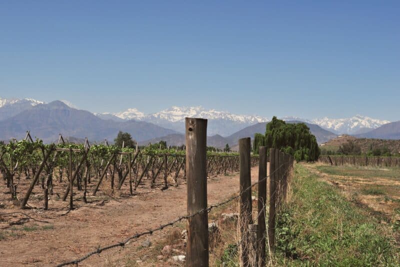 Roteiro de vinhos no Chile: 4 dias entre Santiago, Valle de Casablanca e Colchagua